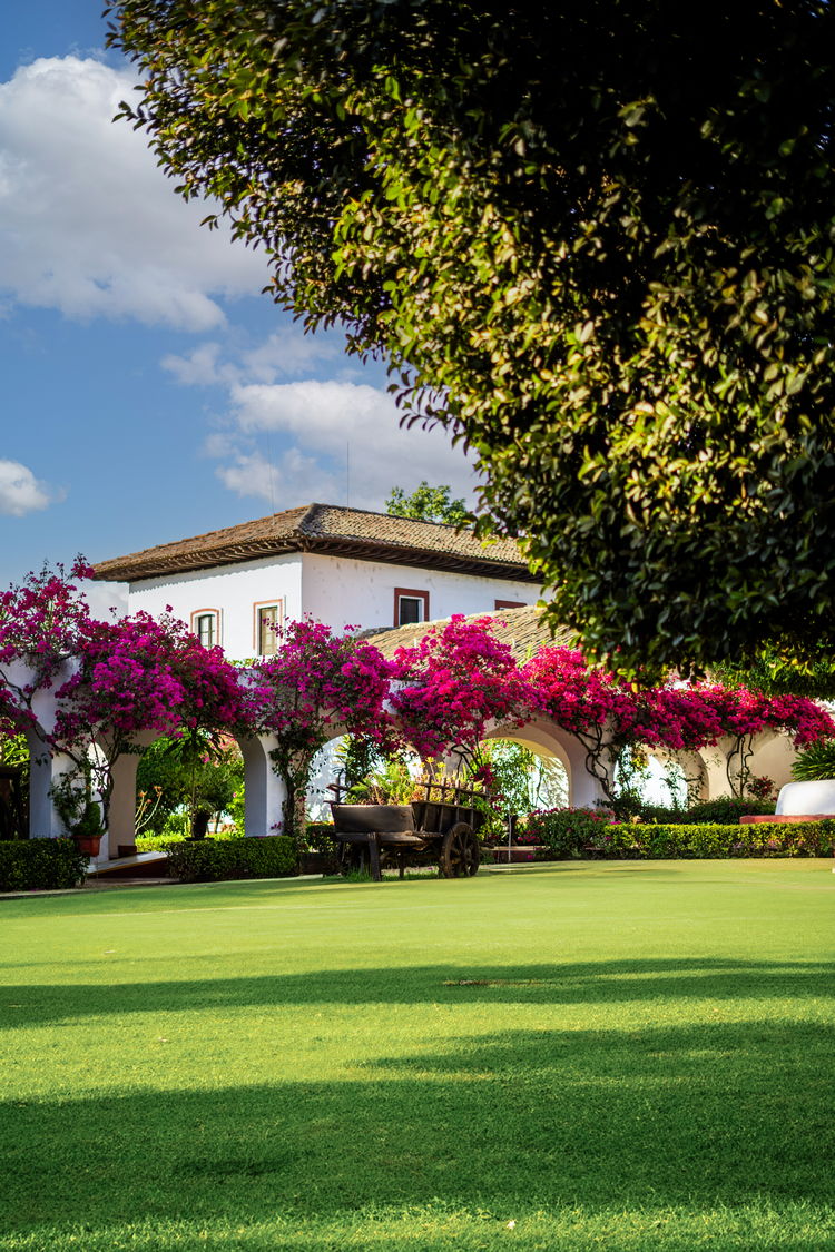 Jardines Hotel Best Western Posada de Don Vasco, Pátzcuaro Michoacán